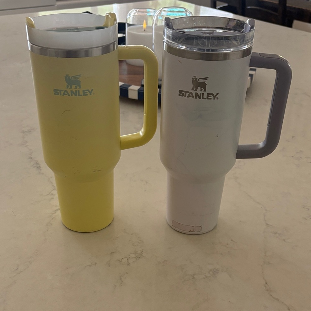 Stanley 40oz tumblers set of 2